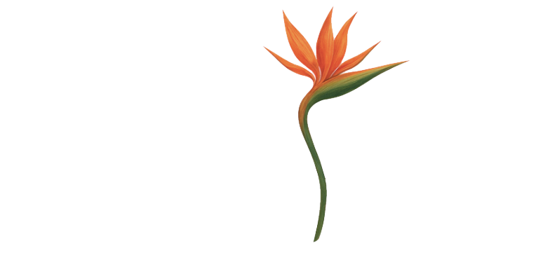 Accueil Ma Mère Veille